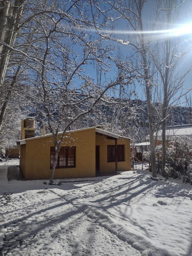 Cabana Pura Vida Potrerillos Buitenkant foto